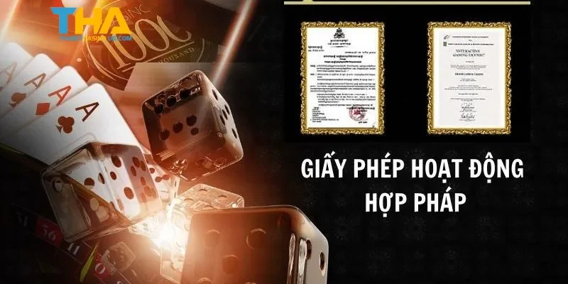 Thabet có các giấy phép nào hợp lệ